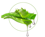 Aloe Vera extrakt